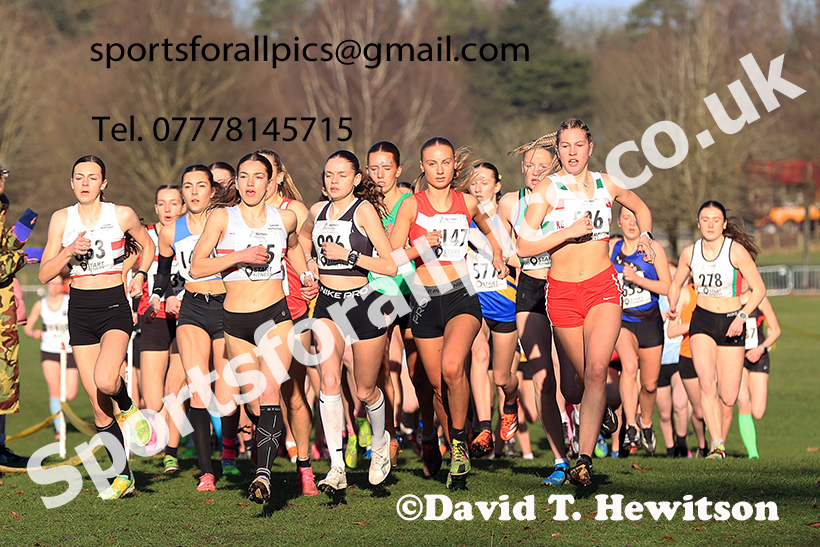 Womens under-17s 2025 Northern Cross Country Champs, Tatton Park, Knutsford, Cheshire. Photo: David T. Hewitson/Sports for All Pics